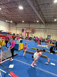 Image result for Sutton Gymnastics Academy