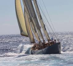 Image result for Xarifa