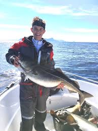 Image result for Pollachius virens