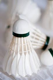 Image result for Feathers (New Milton) Badminton Club