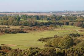 Image result for Clyne Golf Club Limited
