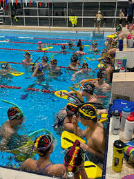 Image result for Teddington Swimming Club