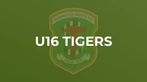 Image result for Mytchett Athletic Football Club