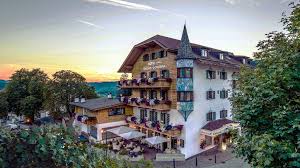 Image result for Enzian