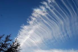 Attēlu rezultāti vaicājumam “Cirrus fibratus”