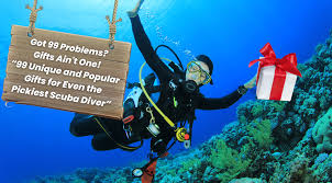 Image result for Duchy Divers