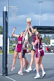 Image result for Ledbury Magpies Netball Club