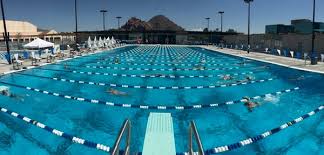 Image result for Derby Phoenix Swimming Club