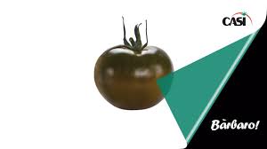Afbeeldingsresultaat voor debarro black tomato