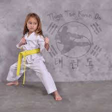 Image result for Torbay Taekwondo Schools