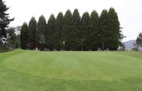 Image result for Kirkintilloch Bowling Club