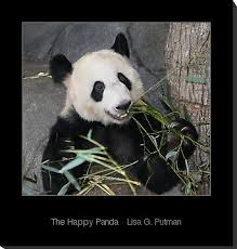 \u0026quot;The Happy Panda\u0026quot; by Lisa G. Putman | Redbubble - 574724-1-the-happy-panda