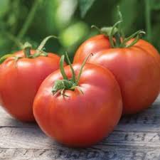 Afbeeldingsresultaat voor bloody butcher tomato