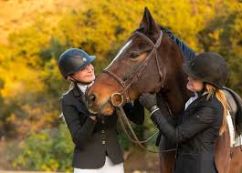 Image result for Porlock Vale Riding School