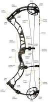 Image result for ArcheryDuns