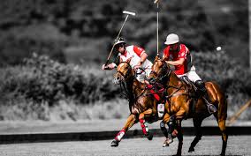Image result for Taunton Vale Polo Club