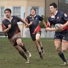 Image result for Tredegar Ironside Rugby Football Club