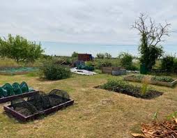 Image result for Longstanton Grasshoppers Cc