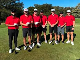 Image result for Harlequin Gc