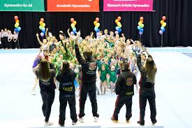 Image result for Aerodyne Gymnastics Club