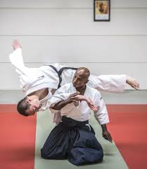 Image result for Aikido - Shobu UK