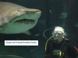 Image result for Torbay Sub-Aqua Club