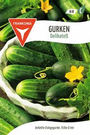 Image result for Gurke