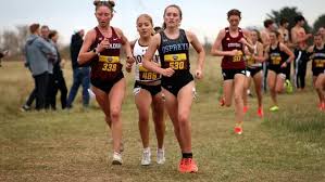 Image result for Hayes Social & Sports Bowls Club