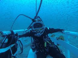 Image result for Headstream Divers