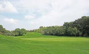 Image result for Billingham Golf Club