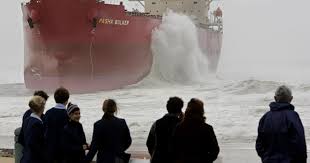 Image result for Pasha bulker