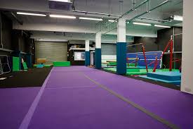Image result for Sheredes Gymnastics Club