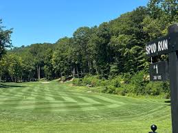 Image result for Prudhoe Golf Club