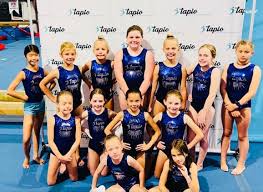 Image result for Tessaro Gymnastics Club