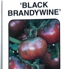 Afbeeldingsresultaat voor black brandywine tomato