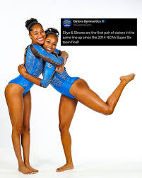 Image result for Blakey Gymnastics Club