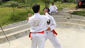 Image result for Silat Perisai Diri Classes Club
