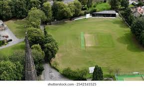 Image result for Chiddingly Cricket Club