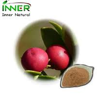 Attēlu rezultāti vaicājumam “Arctostaphylos uva-ursi fruit”