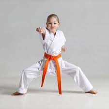 Image result for COURT FIELDS karate Academy