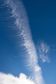 Attēlu rezultāti vaicājumam “Cirrus fibratus”