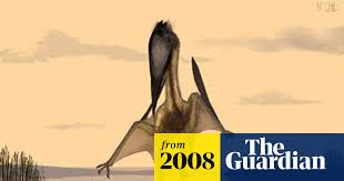 Attēlu rezultāti vaicājumam “Lycogala convexum macro”