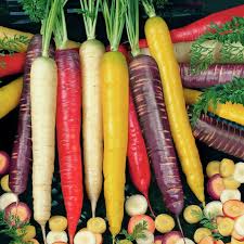 Image result for Möhren