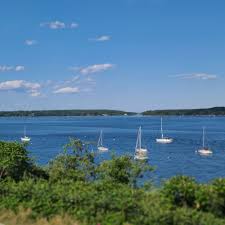 Image result for Braintree Sea Angling Club