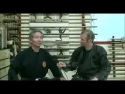 Image result for Bujinkan Dojo Seijitsu