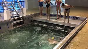 Image result for Trowbridge Swimming Club