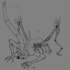 Attēlu rezultāti vaicājumam “Leucochloridium paradoxum”