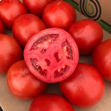 Afbeeldingsresultaat voor caro rich tomato