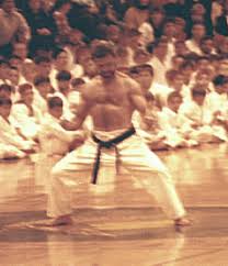 Image result for Ryusui-ryu Martial Arts School East Grinstead