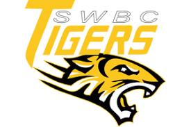 Image result for Henfield Heat Basketball Club